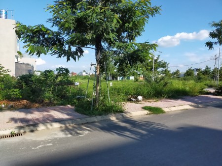 Đất Đẹp Đường Hoàng Minh Chánh Giá Chỉ 2ty