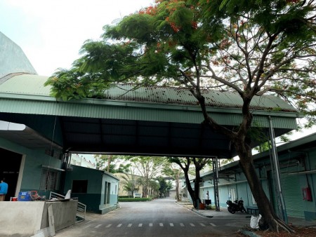 Cho thuê kho diện tích 2000m2 Tăng Nhơn Phú phường Phước Long B Quận 9