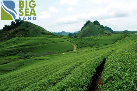 Đi đến slide 4