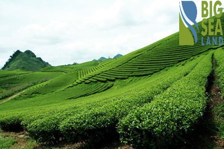 Đi đến slide 5