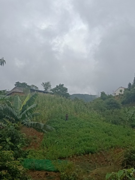 Đi đến slide 3