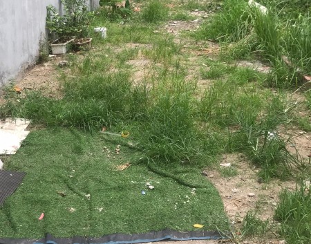 Bán đất phố Thị Cấm giá rẻ chỉ đầu 1 tỷ hơn liên hệ chính chủ 0962157266