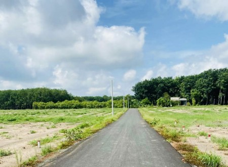Nơi đây rất thu hút các Doanh nghiệp về đây xây dựng các khu công nghiệp, phát triển kinh tế