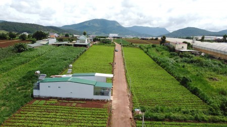 Đi đến slide 3