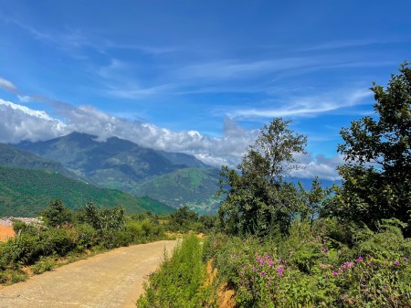Đi đến slide 8