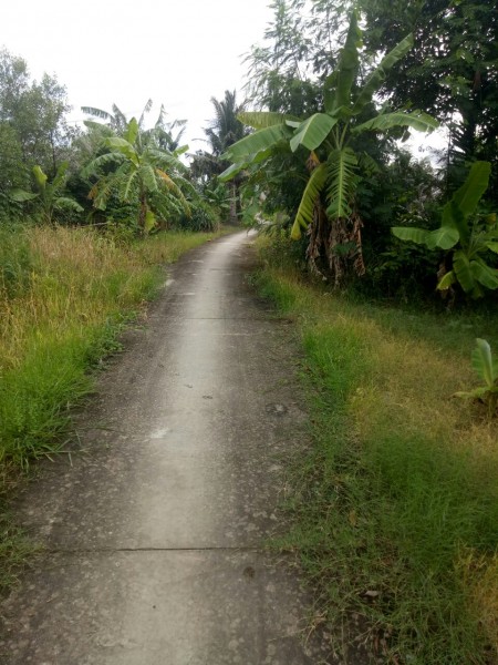 Đi đến slide 9