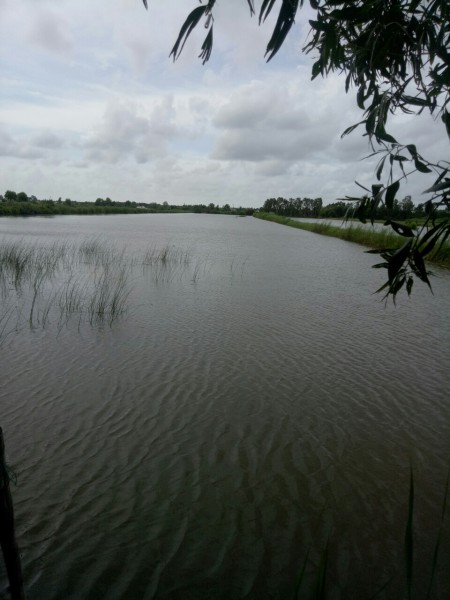 Đi đến slide 8