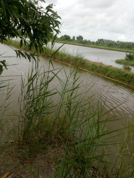 Đi đến slide 5