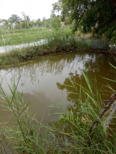 Đi đến slide 7
