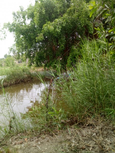 Đi đến slide 6