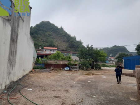 Đất nền Mộc Châu phù hợp homestay khai thác du lịch 4 mùa, giá thoả thuận chính chủ