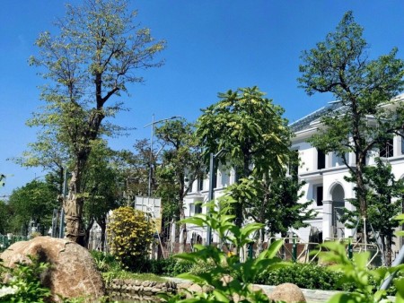 Đi đến slide 3