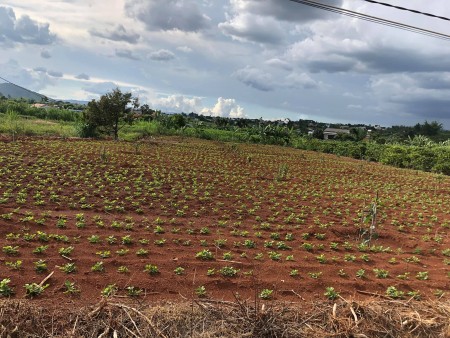 Đất nền Nam Ban, diện tích đất 247m2, view đồi, đường 4m oto, giá 648 triệu