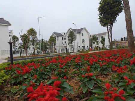 Mua 1 được 3 với TimesGarden Vĩnh Yên, thanh toán linh hoạt chia thành nhiều đợt.