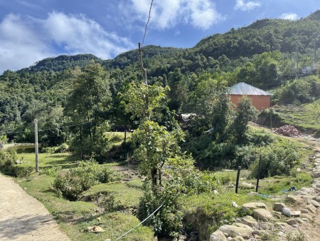 Đi đến slide 8
