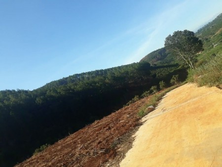 Đi đến slide 4