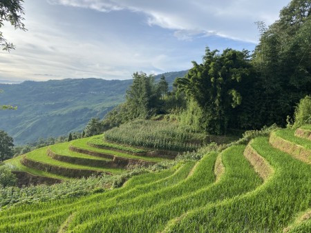Đi đến slide 2