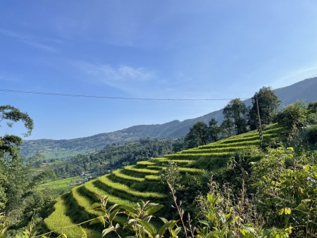 Bán đất Y Tý diện tích 4000m2 quy hoạch đất ở, pháp lý an toàn, liên hệ 0822356688