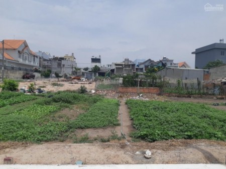 Chính chủ cần ra gấp lô đất thổ cư dt 50m2, giá bán 1,9 tỷ, TTTP.Biên Hòa, sổ riêng