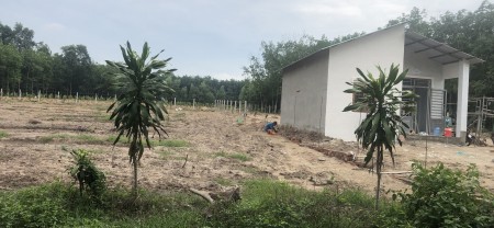 Bán gấp đất mặt tiền đường Bàu Cạn giá ngộp dân cư đông, lh 0349854941