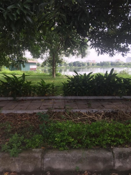 Chính chủ bán nhanh lô đất mặt đường diện tích 100m2, liên hệ xem đất 0359859274