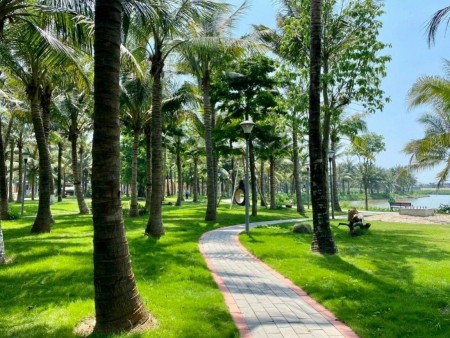 Đi đến slide 5