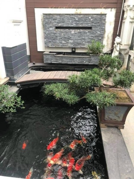 Bán Biệt Thự Đường Ái Mộ,Quận Long Biên diện tích 150m2 mặt tiền 9m.