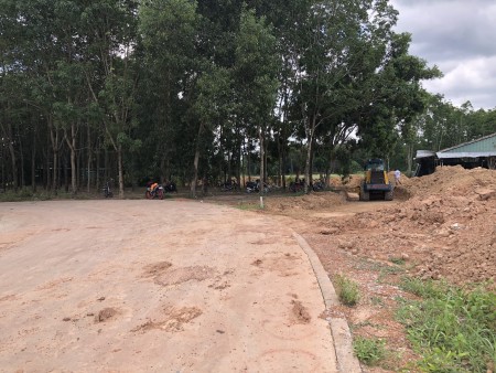 Bán đất chính chủ Phú Chánh giá cực rẻ, đường bê tông xe vào tận đất