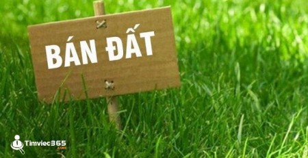 Cần tiền bán liền lô đất Lạc Long Quân Quận Tây Hồ, diện tích 99m2, mt 5.7m, giá chỉ 3.9 tỷ
