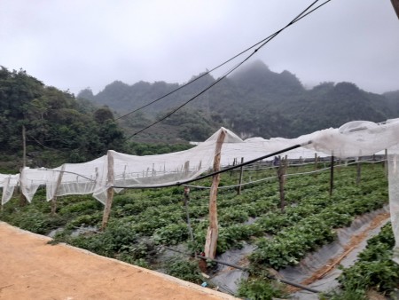 Đi đến slide 2