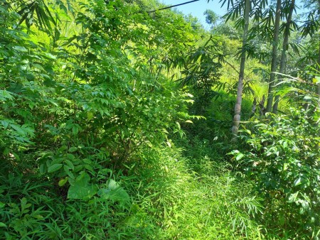 Đi đến slide 8