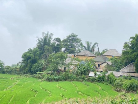 Đi đến slide 2