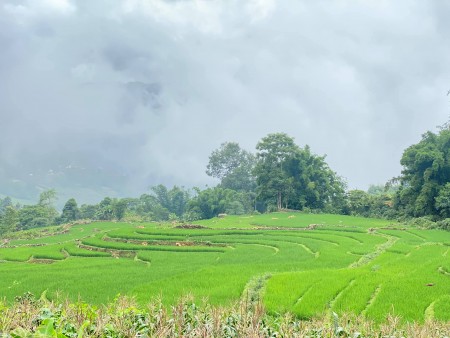 Mảnh đất Sa Pa 2 Tả Van 2 cực đẹp view ruộng gần suối khai thác du lịch