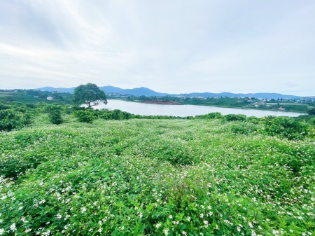 Cần bán gấp lô đất nền thổ cư ngay trung tâm thị trấn Di Linh, view hướng mặt Hồ Tây