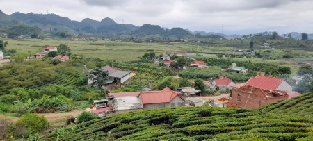 Đất có thổ cư Khu văn Hóa Bảo Tồn Chiềng Đi Mộc Châu, Sơn La, liên hệ xem đất 0376402368