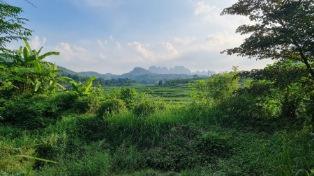 Đi đến slide 6