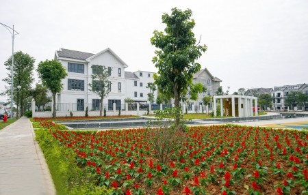 Mở bán căn biệt thự siêu hấp dẫn tại khu đô thị Times Garden Vĩnh Yên