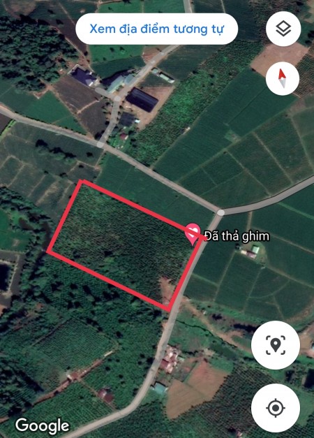 Đi đến slide 6