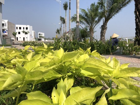 Đi đến slide 5