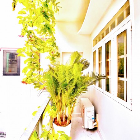 Bất Động Sản Cao Cấp Gò Vấp, Kiến Trúc Âu, phong cách hiện đại, giá rẻ, kèo thơm.