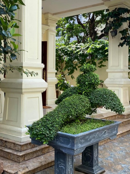 Bán Biệt Thự ngay trung tâm Quận Hà Đông dt 165m2, 3 tầng hoàn thiện đẹp giá bán 13 tỷ