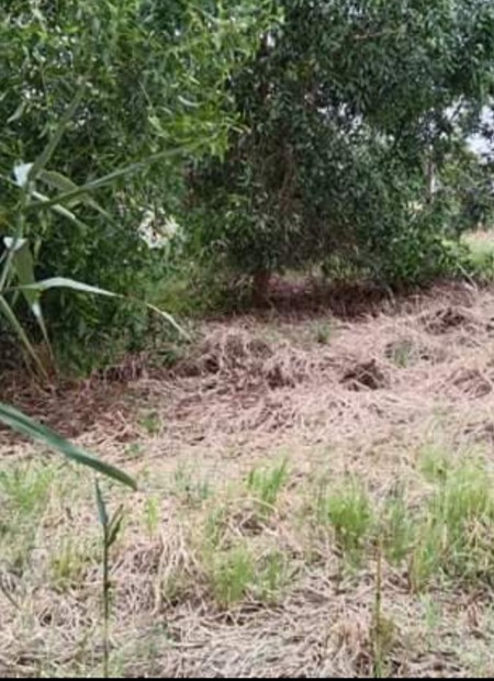Bán đất sổ đỏ vị rất thuận lợi để ở đất Nông nghiệp, giá bán 350 triệu, lh 0946756685