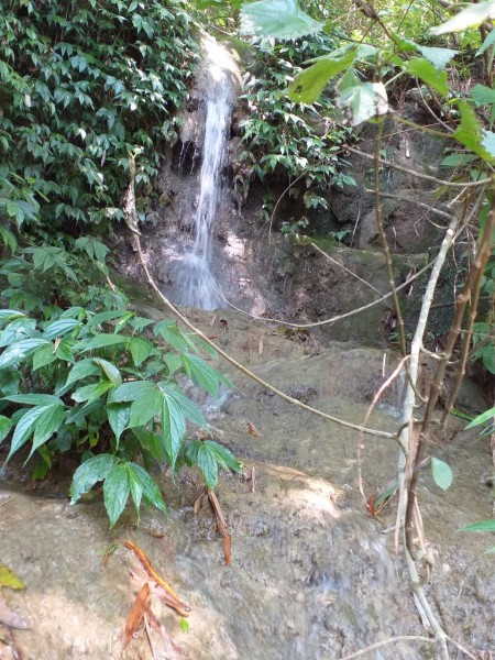 Đi đến slide 4