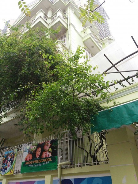 Biệt thự sân vườn giữa lòng Đống Đa, gara ô tô diện tích 180m2, giá nhỉnh 21 tỷ thương lượng