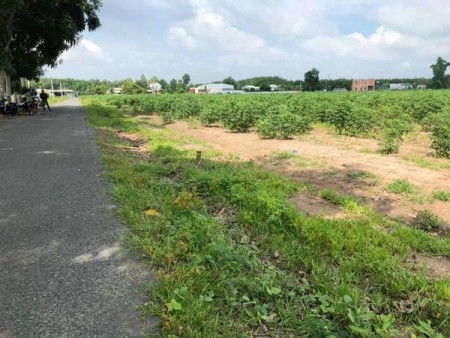️️Đất sổ sẵn thành phố Đồng Xoài, giá 860 ngàn.m2, thuộc trung tâm thành phố Đồng Xoài