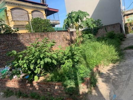 Bán đất diện tích 52m2 lô góc đường 5m tại Dương Quang, Gia Lâm liên hệ 0983253436