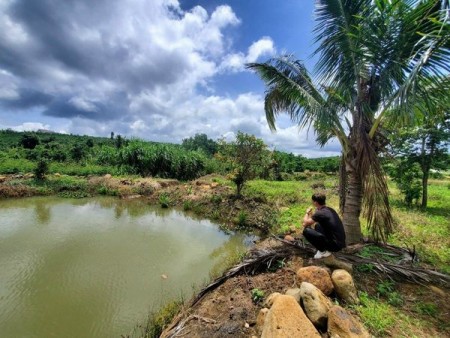 Đất cần bán gấp do đang cần tiền diện tích sử dụng 3600m2, đường lớn, xe vào tận nơi