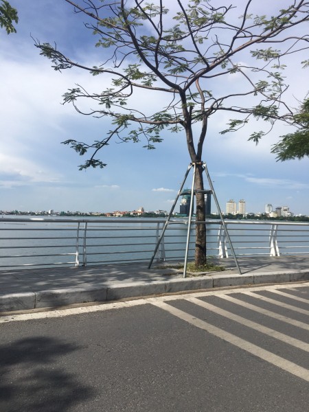 Đi đến slide 3