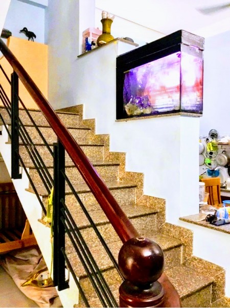 Đi đến slide 7