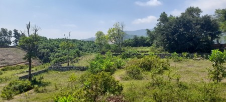 Đi đến slide 8